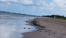 Novas manchas de óleo aparecem em diferentes pontos do litoral alagoano