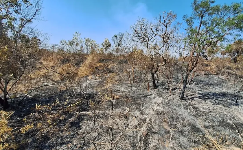 Mudanças climáticas já afetam 85% dos brasileiros, diz pesquisa