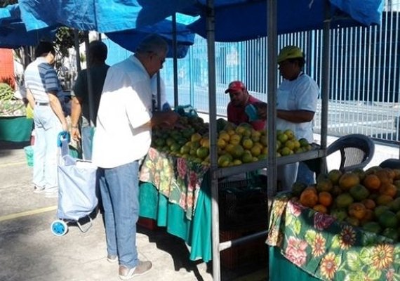 Feiras livres no interior de Alagoas são desafio para gestores municipais
