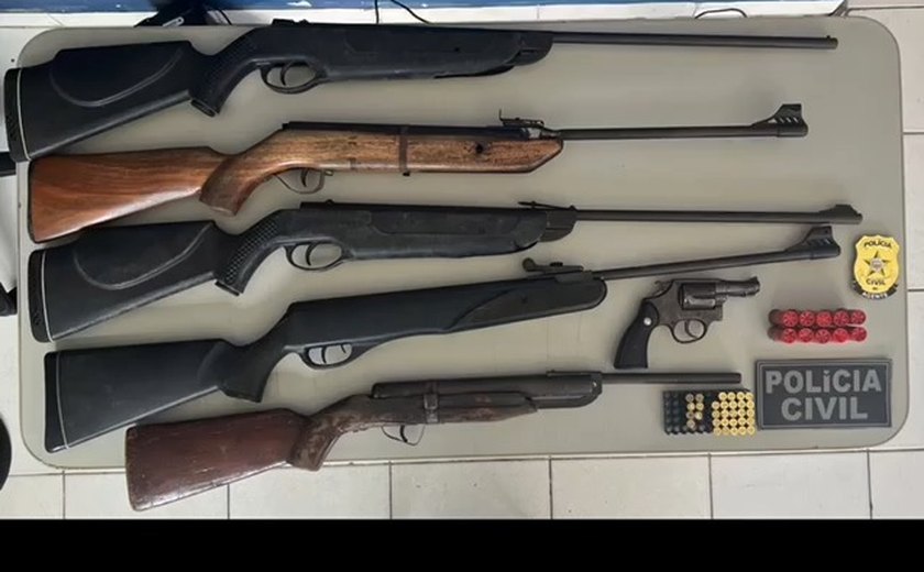 Mulher é presa em flagrante por posse ilegal de armas de fogo e munição