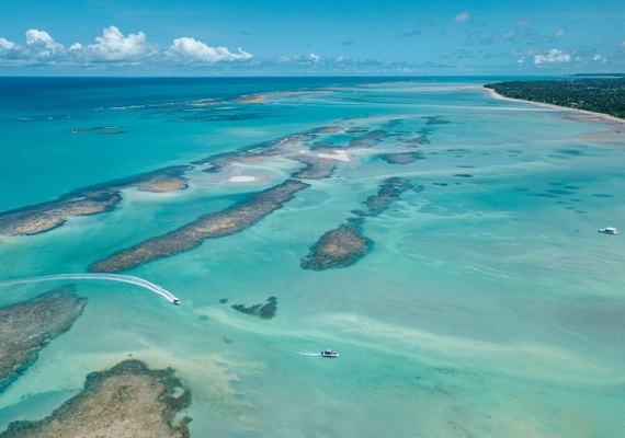 Projeto Rota dos Corais conecta Pernambuco e Alagoas em iniciativa inédita de turismo sustentável no litoral nordestino