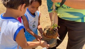 Projeto realiza atividades sustentáveis e plantio de árvores com crianças do Flexal