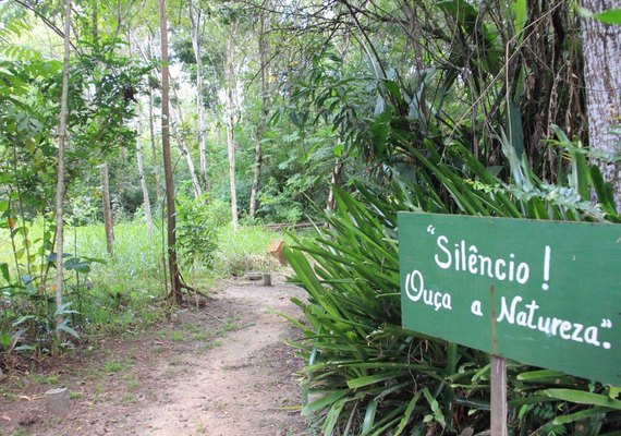 Projeto Arboretum: de terreno abandonado à área reflorestada