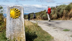 Jornalista lança site de micro anúncios para desafio espiritual