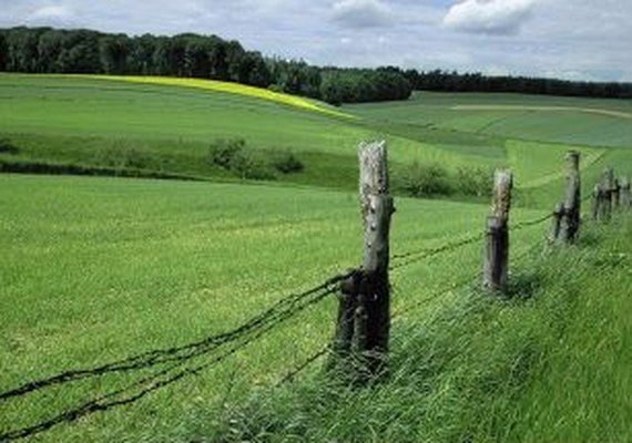 Prazo para entrega de declaração de propriedades rurais termina nesta sexta