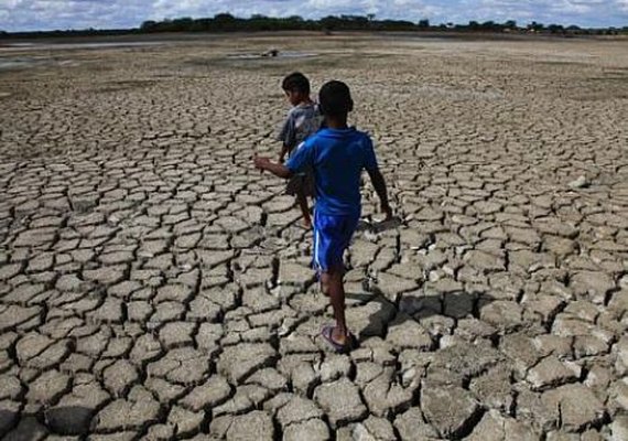 Taquarana é 42° município a decretar situação de emergência por conta da seca