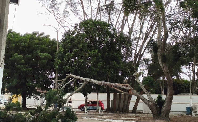Alerta para chuvas atinge os 102 municípios de Alagoas e temporal já provoca transtornos