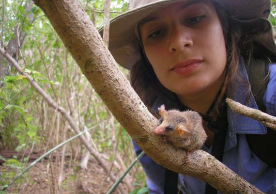 Pequenos mamíferos da Caatinga sofrerão pelas mudanças climáticas