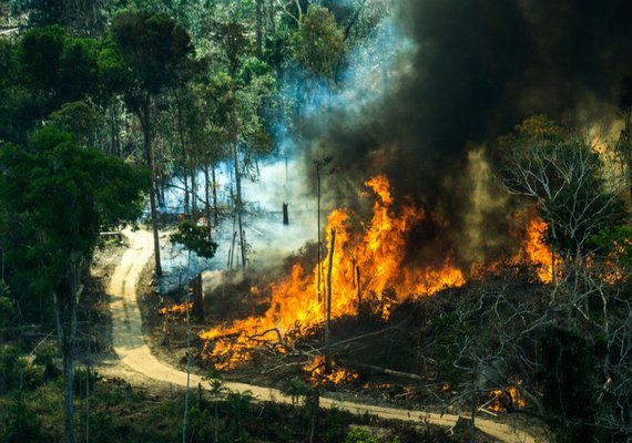 Ministério do Meio Ambiente quase zera verba para o clima