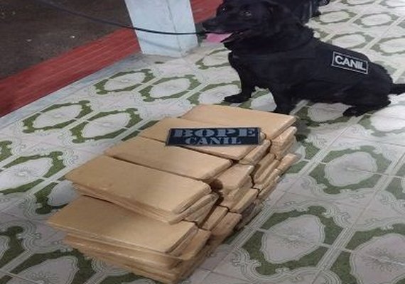 BOPE apreende 46 quilos de maconha com passageira de ônibus clandestino