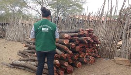 Fiscalização flagra desmatamento no município de Girau do Ponciano