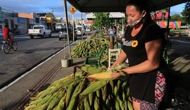 Cresce a procura por milho verde em Maceió