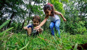 Parque do Horto promove educação ambiental