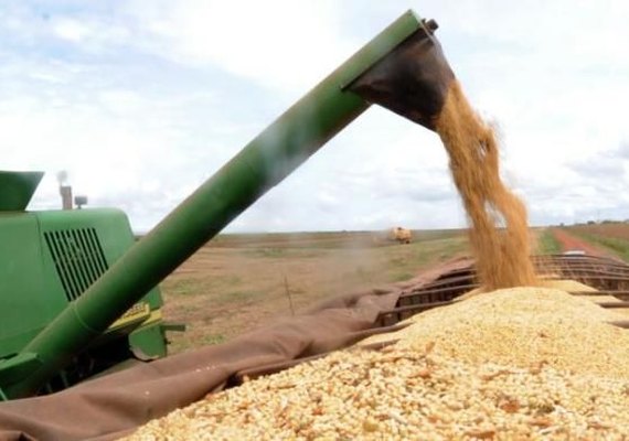 Produtor pode solicitar recursos do Plano Safra 2017/2018 a partir de hoje