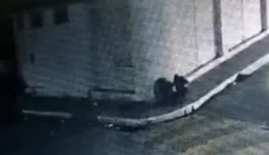 Imagens de câmera de segurança capturam jovem arrastando corpo de idoso em Maravilha