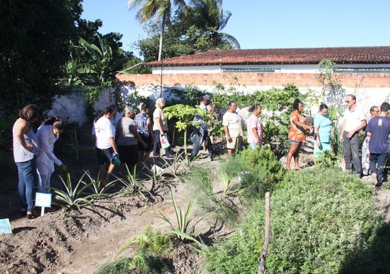 Farmácia Viva: Ufal e sabedoria popular unem-se em prol da saúde da população