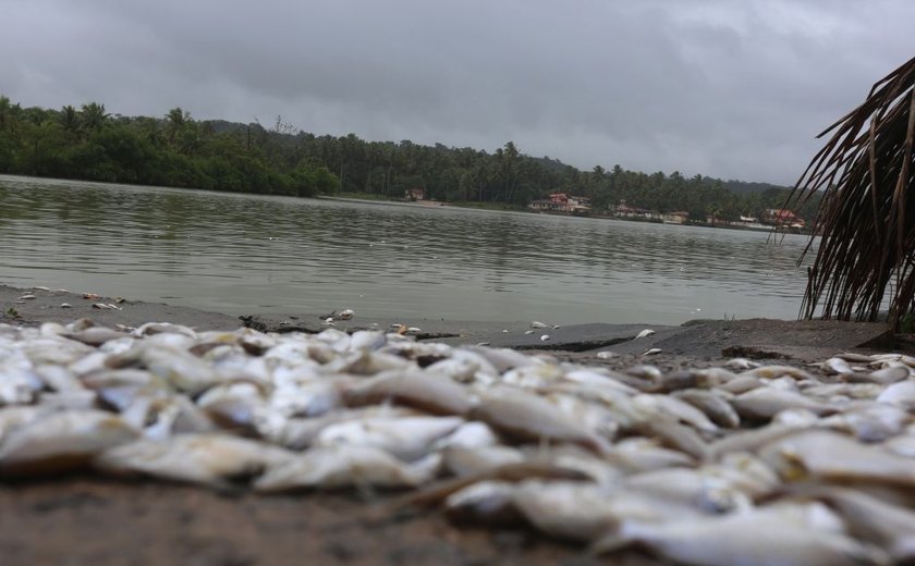 Assembleia irá debater ações para impedir a mortandade de peixes no complexo lagunar