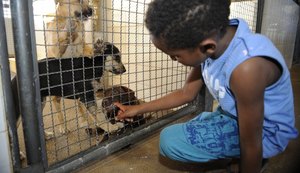 Resolução define e caracteriza o que é crueldade, abuso e maus-tratos contra animais