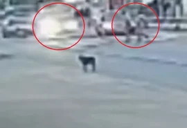 Condutor de BMW suspeito de atropelar primos na AL-101 Sul é localizado