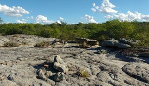 IMA promove Dia da Caatinga com programação especial em Alagoas