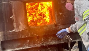 Polícia Civil de Alagoas incinera mais de 1,5 tonelada de drogas durante a Operação Narke IV