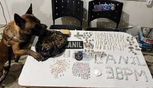PM apreende arma e drogas no Agreste alagoano