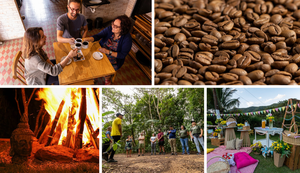 O frio e o café de sombra do Ceará recebem visita técnica do MTur