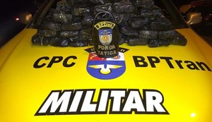 PM  apreendeu 31 kg de maconha em sacos enterrados entre bananeiras