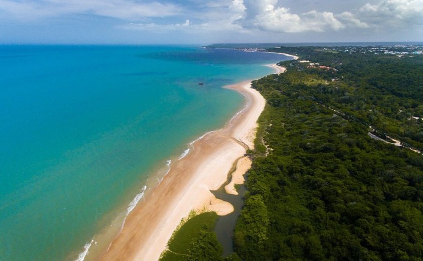 Costa do Descobrimento protege trecho rico da Mata Atlântica