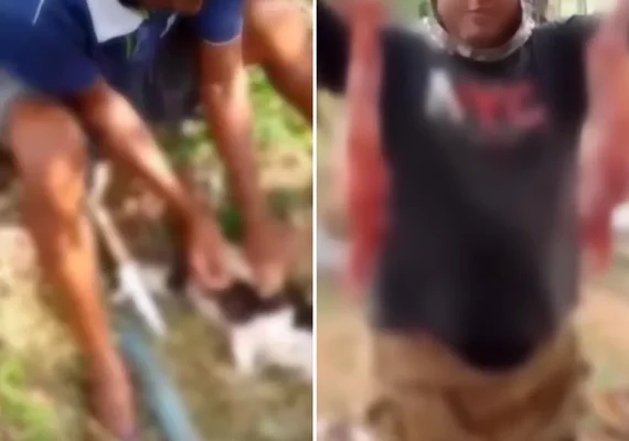 Polícia busca suspeitos de vender carne de gato em Alagoas