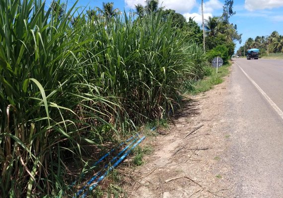 22 comunidades rurais de Junqueiro são beneficiadas pela Codevasf