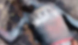 Corpo é encontrado com marcas de tiros às margens de rodovia em Delmiro Gouveia