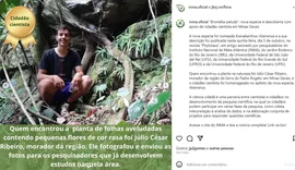 Naturalistas amadores contribuem com descobertas científicas