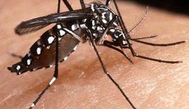 Avanço do Zika e da microcefalia assustam o mundo em 2016