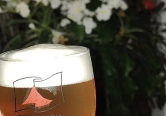 Casal de mestres cervejeiros dá dicas preciosas de como apreciar um bom chopp