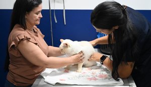Prefeitura destaca avanços das políticas de bem-estar animal em Maceió