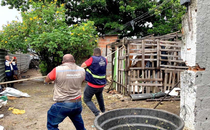 Segurança Cidadã realiza demolição de barracos esvaziados no Vergel do Lago