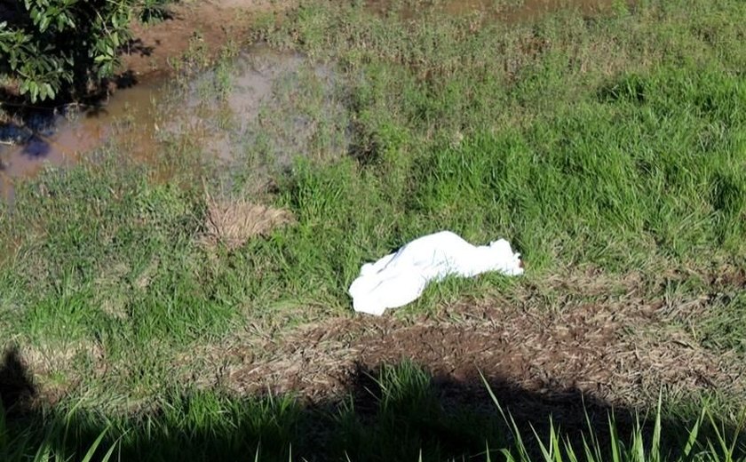 Corpo de jovem é achado à beira de rio com perfurações de arma branca