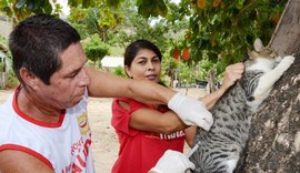 Campanha de vacinação contra a raiva é iniciada em Alagoas