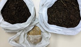 PM apreende quase 2Kg de drogas em Olho d'Água das Flores