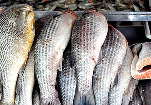 Índice de fraudes na venda de pescado chega a 21% em 12 estados e no DF