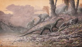 Cientistas descobrem 'primo mais velho' de dinossauros