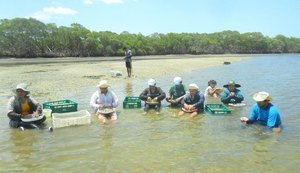 Política de apoio às mulheres marisqueiras é sancionada