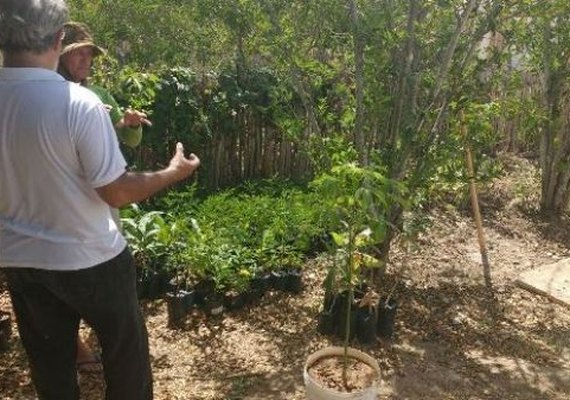IMA fomenta projeto voltado para sustentabilidade dos artesãos da Ilha do Ferro