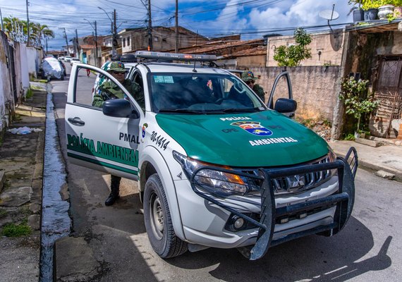 PM resgata animais em áreas urbanas de Maceió e orienta população