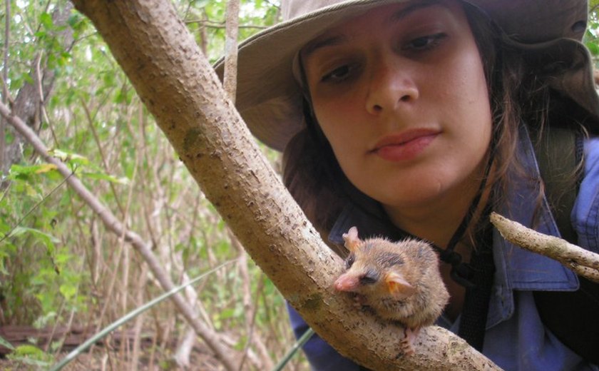 Pequenos mamíferos da Caatinga sofrerão pelas mudanças climáticas