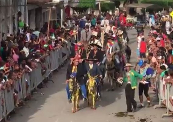 Burralhada mantém tradição na terça de carnaval em Joaquim Gomes
