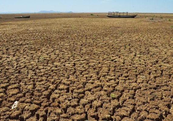 Decretada situação de emergência em 38 cidades por causa da seca
