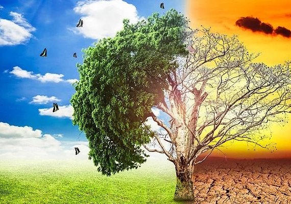 Impactos Ambientais serão abordados em pós-graduação da Unit