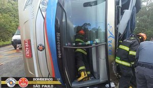 Acidente com ônibus deixa cinco mortos em rodovia de SP